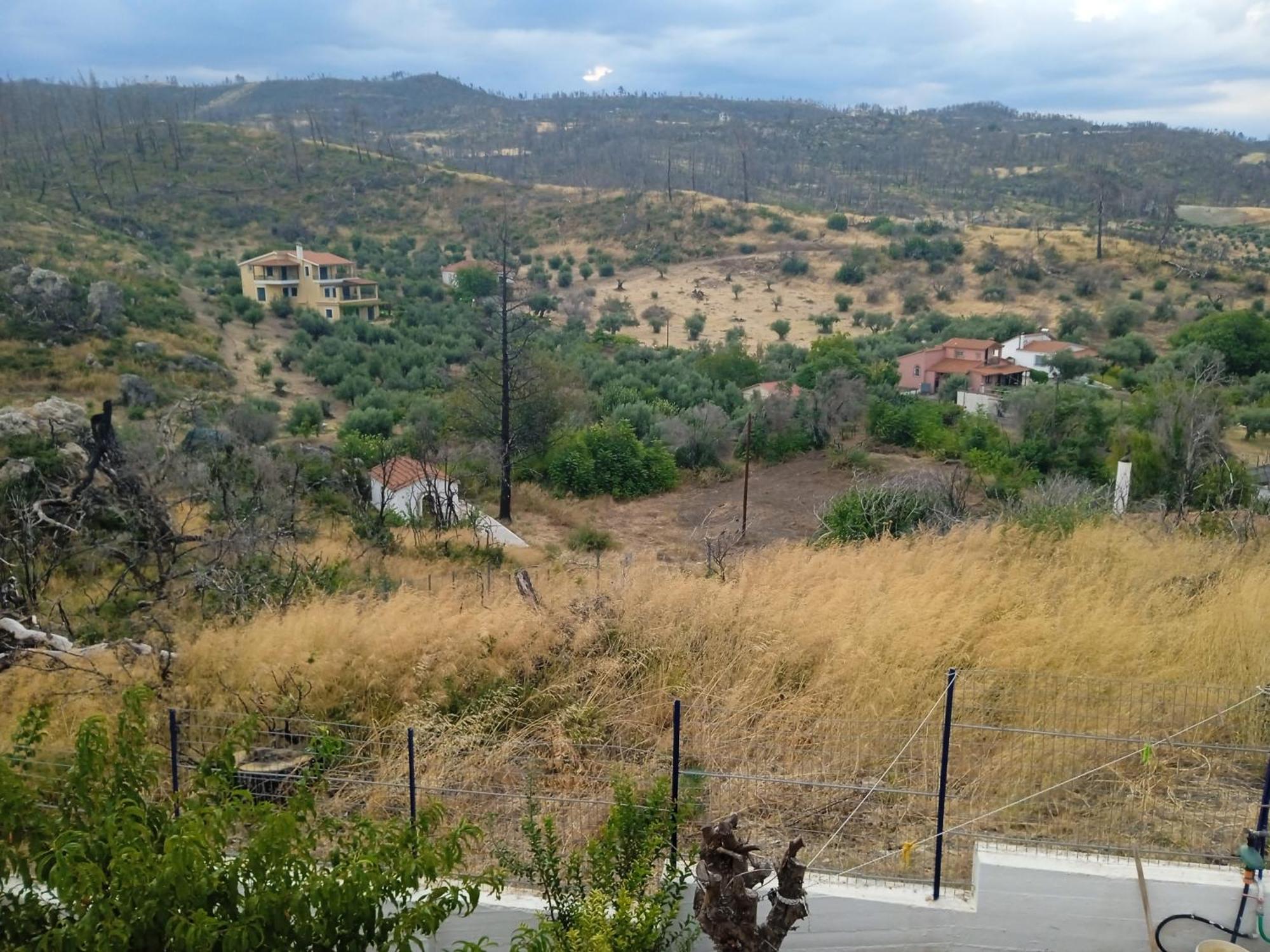 Вілла Σπίτι Στο Βουνό Αλλά Μια Ανάσα Από Τη Θάλασσα Paleochori Екстер'єр фото